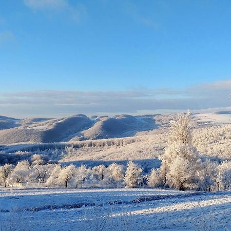 Nature Homestay Trencin Luaran gambar
