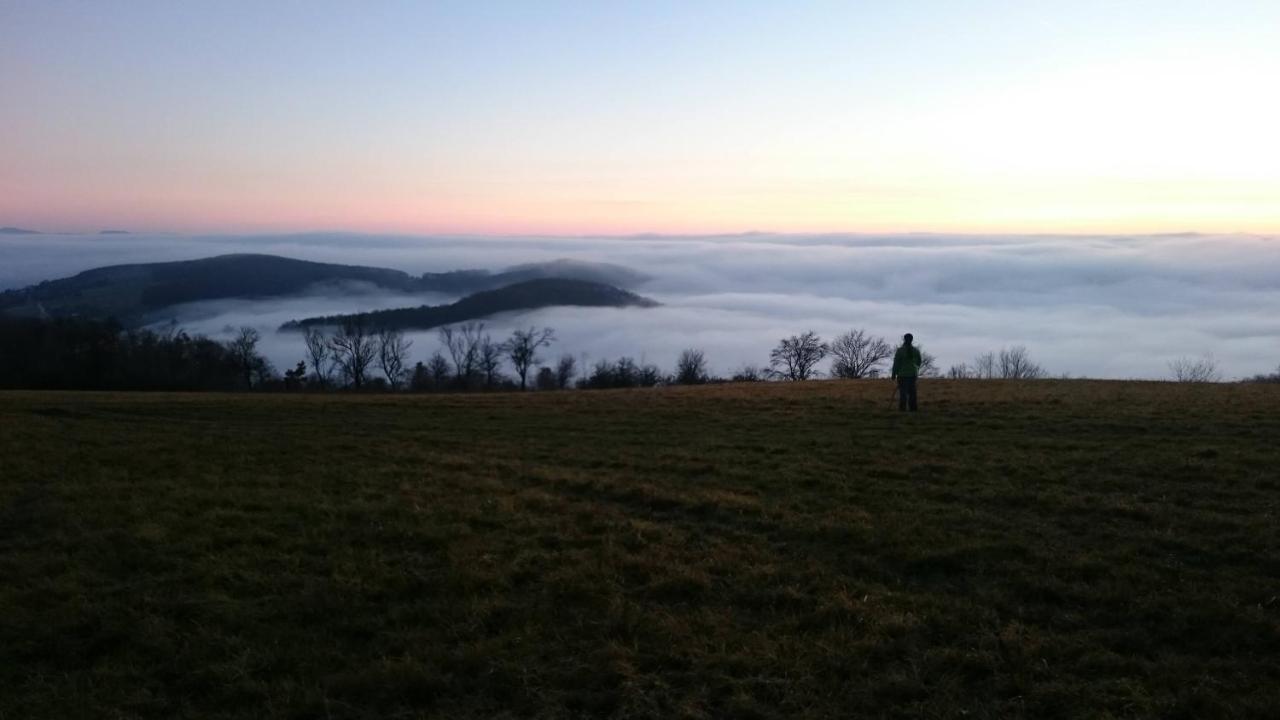 Nature Homestay Trencin Luaran gambar